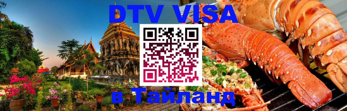 Оформление DTV визы под ключ: стоимость и тарифы, только загранпаспорт - 